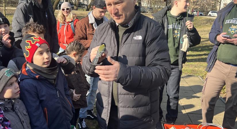 Testközelből vehettük szemügyre a Debreceni Egyetem környékén élő madarakat