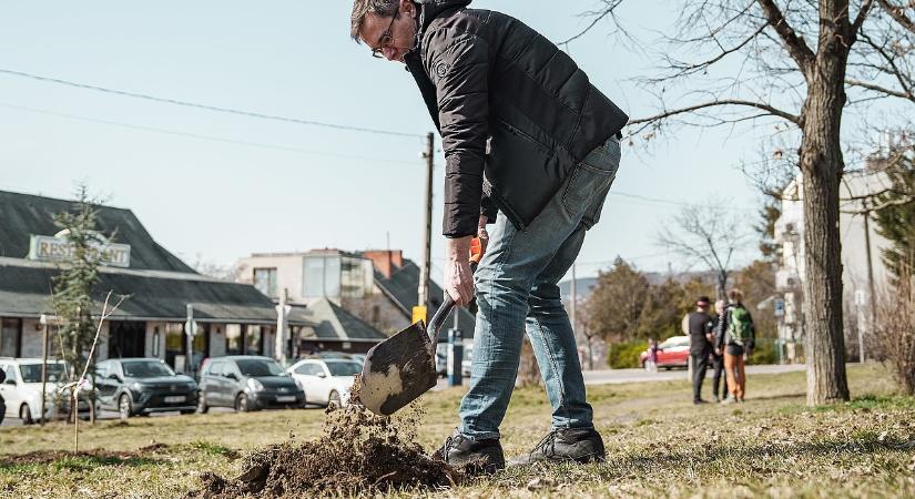 Újabb vizsgálatot indított az ÁSZ a fővárosi gazdálkodásról