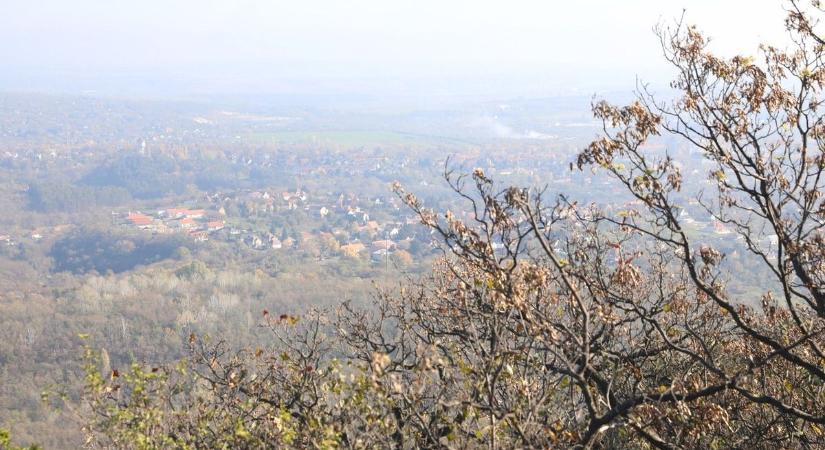 Tavaszi meleg és napsütés: el nem hiszed, meddig emelkedhet a hőmérséklet