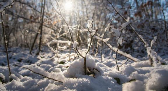 Hideg, de csapadékszegény volt a február