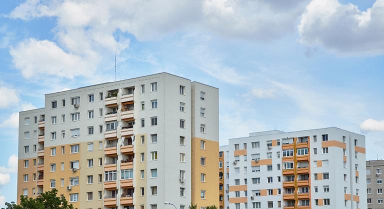 A tetőket is kizöldítenék Karácsony Gergelyék