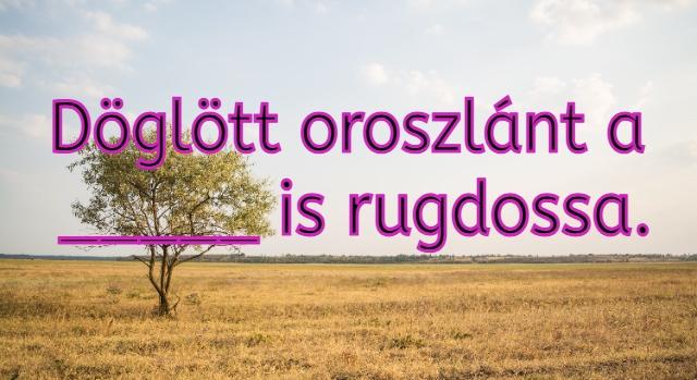 Napi közmondás feladat: Ki tudod egészíteni?