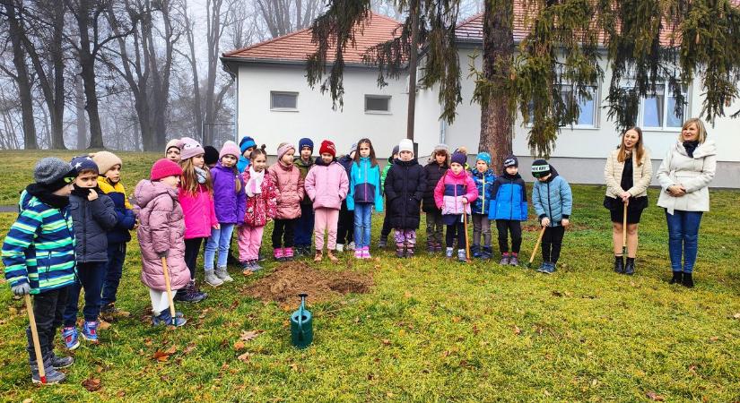 Őshonos fákat ültettek az iskolások