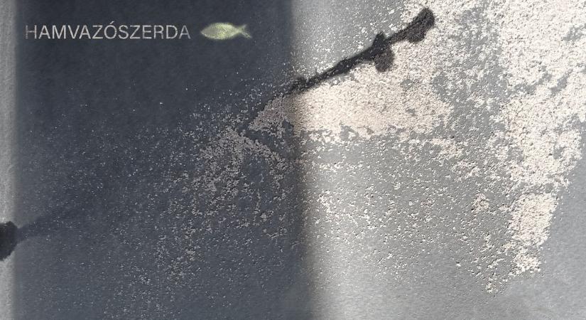 „Azért szállunk lélekben halálunk percébe, hogy erőteljesebben s örvendezőbben éljünk” – hamvazószerda napja legyen a jótékony és szent borzongásé!
