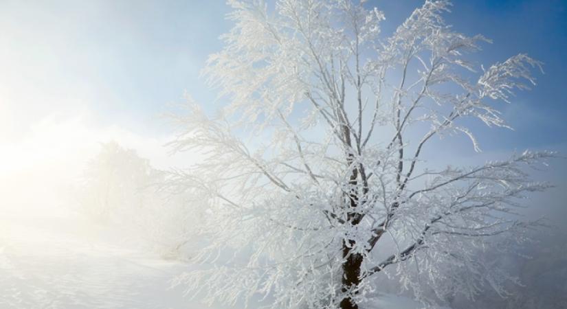 Sokkoló adatok láttak napvilágot az idei februárról: erre még a meteorológusok sem számítottak