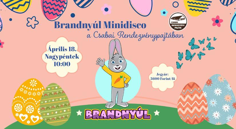 Brandnyúl Mini Disco a Csabai Rendezvénypajtában / 2025.04.18.