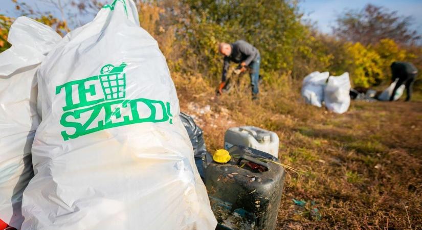 Betört a tavasz, irány szemetet szedni!