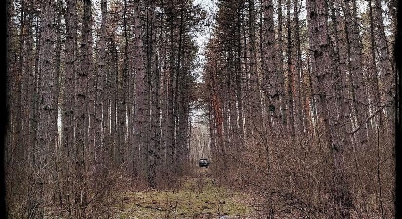 Így gondoskodnak a vadállatokról az erdészeti iskola diákjai