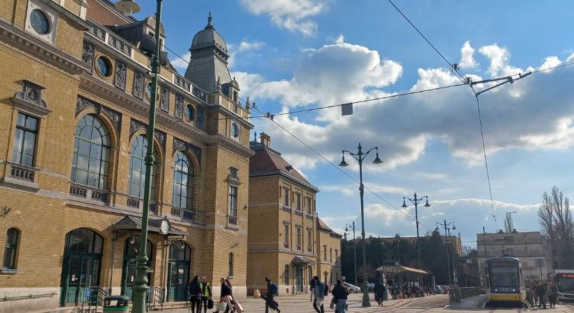 Megérkezik a tavasz és elhozza a jó barátját is, kár, hogy az emberek nem lelkesednek érte