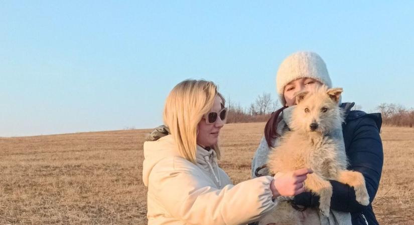 A csontsoványra fogyott Barbit a fagyhalál elől mentették meg  videók
