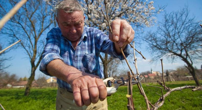 Itt a tavasz, kezdődhet a kerti munka