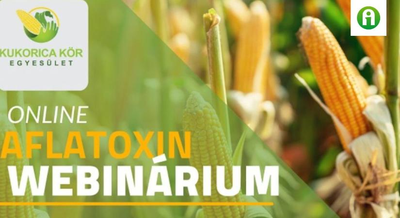 Online aflatoxin webinárium