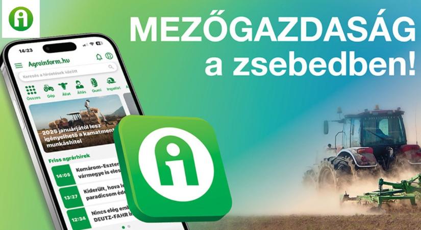 Az Év Honlapja díjat nyert az Agroinform mobil applikáció!