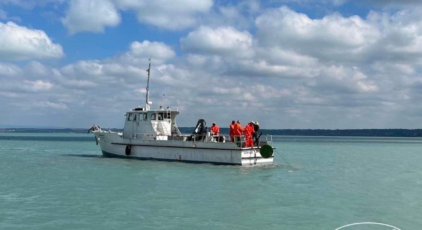 A héten elkezdték a süllőfészkek lerakását a Balatonba