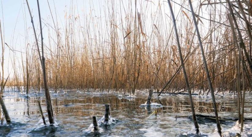 Az ország egyik leghidegebb része a Balaton-part