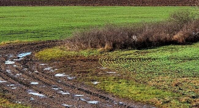 Bőséges csapadékra lenne szüksége a földeknek