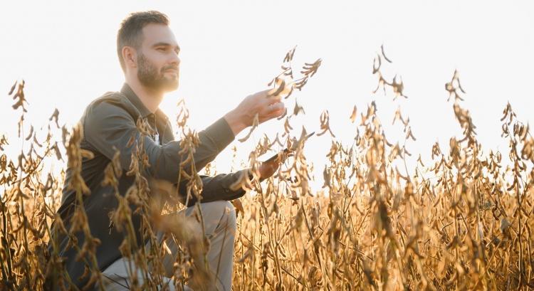 Kína csapást mér az amerikai agráriumra