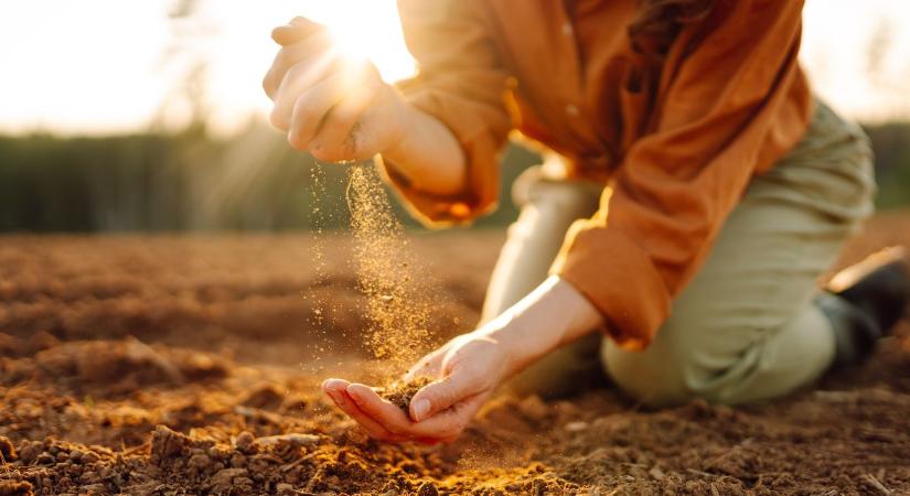 Innovatív megoldások a TIMAC AGRO-tól