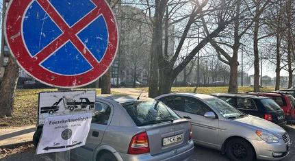 Szabálytalanul parkoló autók nehezítik a varjúfészkek eltávolítását Kertvárosban