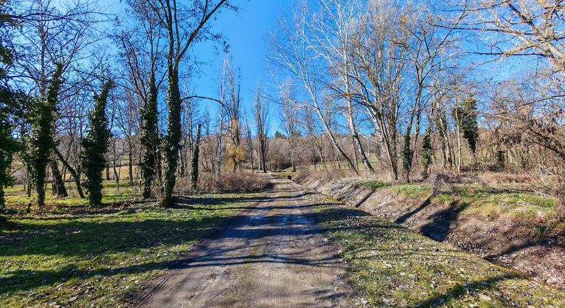 Kellemes, tavaszias idő enyhe széllel