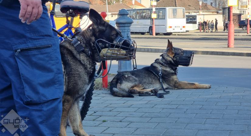 Közrendvédelmi akció Győrben!