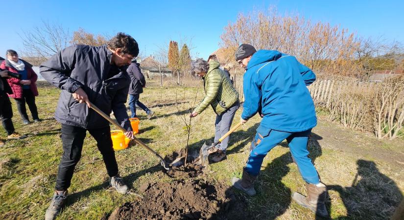 A Kemence Egyesület udvarán ültettek fát Lillának és Gergőnek