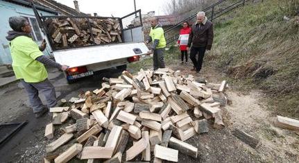 504 pécsi család kapott szociális tűzifát