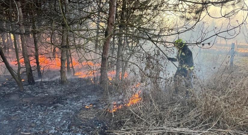 Már 35 focipályányi terület égett le idén szabadtéri tüzek során Hevesben