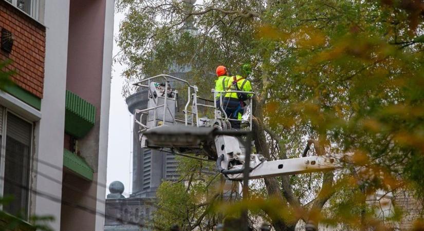 Mutatjuk, mit érdemes tudni a közelgő permetezési munkákról