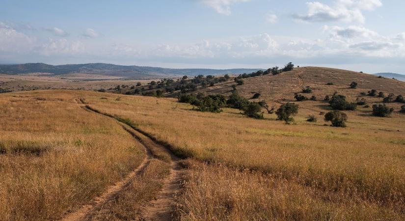 22 ezer éves keréknyomokra bukkantak, pedig akkor még nem is létezett a kerék