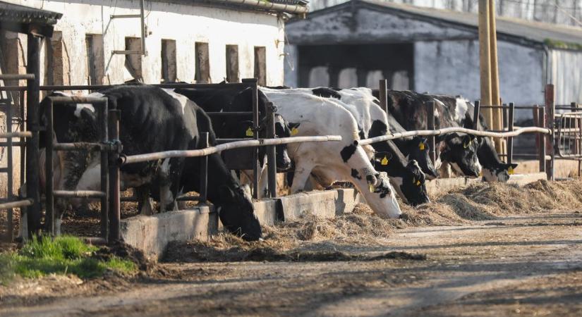 Tovább gyűrűzik a fertőzésveszély: jönnek a bezárások és a határellenőrzés