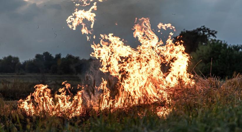 Háromhektáros tűz Szikszónál