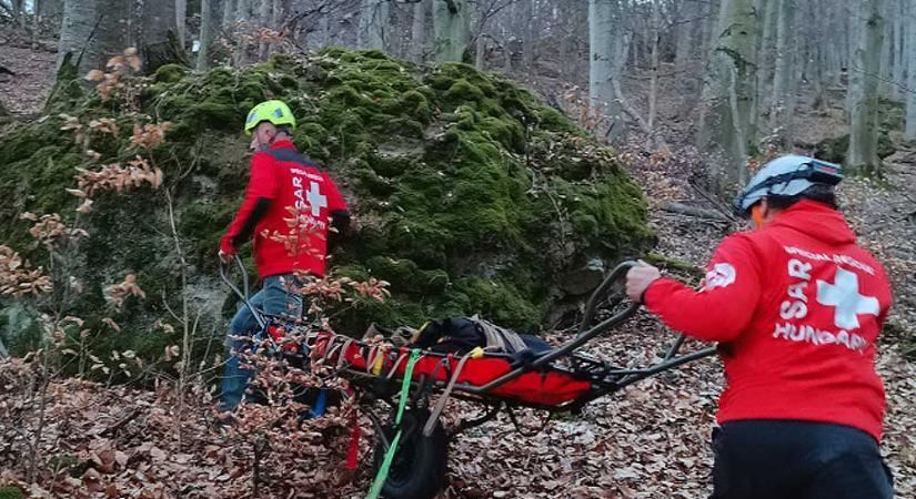 Holttestet találtak a Dunakanyar közelében a Börzsönyben, az elhunyt férfit nagyon kereste a családja