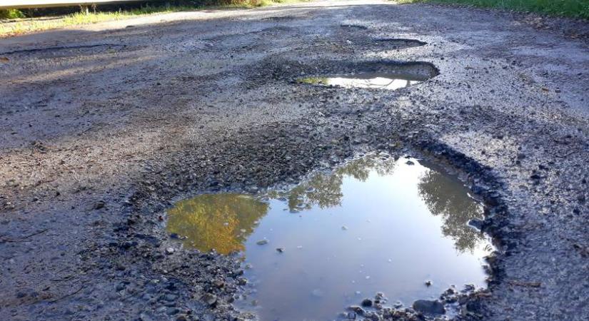 Óriási kátyú éktelenkedett az úton, hihetetlen, mi nőtt ki belőle pár év alatt: a helyiek is örülnek neki