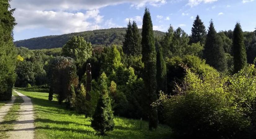 Madárdalos csoda a Gerecse szívében: Agostyáni Arborétum és Kulcsosház