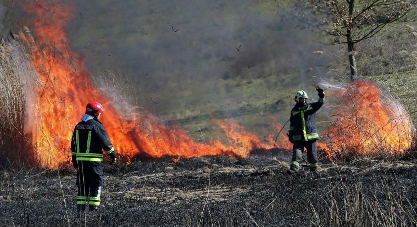 Avartüzekkel küzdöttek a hajdú-bihari tűzoltók