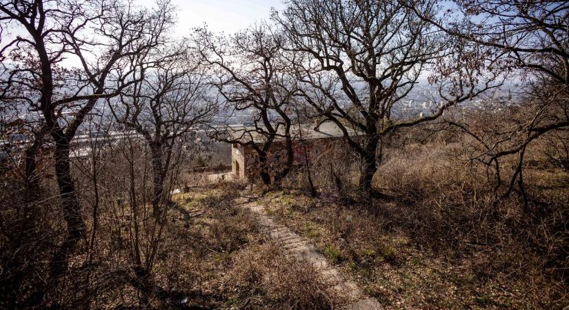 Hihetetlen panorámával rendelkezik a Tatabányai Szellemház