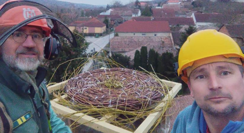 Ők aztán tényleg mindent megtesznek a madarak védelmében