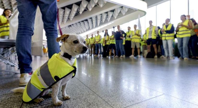 Megbénulhatnak hétfőn a németországi repülőterek