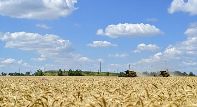 Bedöntené az uniós agrártámogatási rendszert Ukrajna csatlakozása