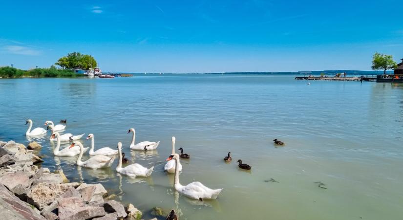 Új szabályok a Balaton védelméért