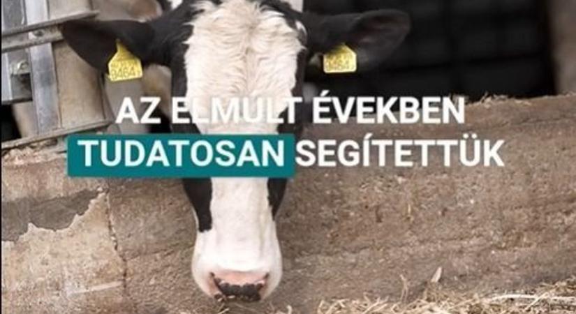 Száj- és körömfájás: Felkészült a magyar állategészségügy a járványok megelőzésére