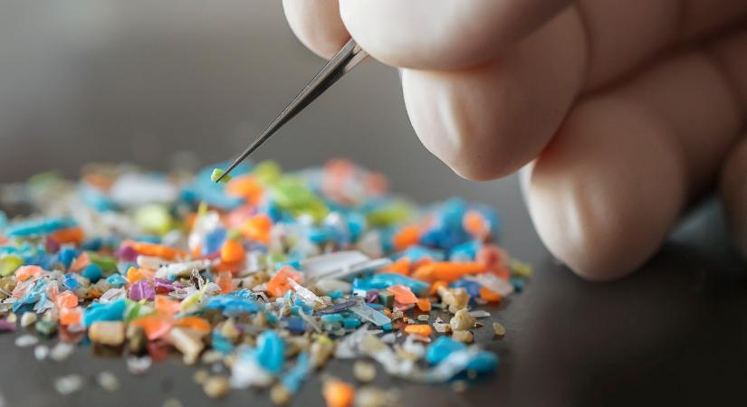 A nanoműanyagok egészségügyi kockázatait vizsgálják az SZTE kutatói