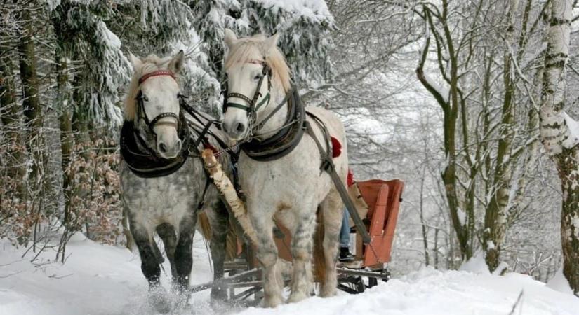 Jövőre korlátozzák a lovaskocsikázást a lengyel Tátrában