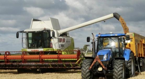 Részt vesz a kamattámogatott agrár beruházási hitelek finanszírozásában az Erste