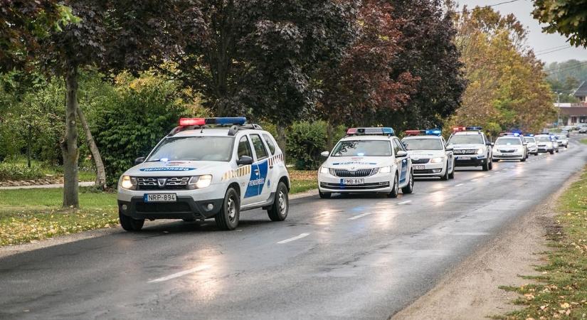 Kutyákkal őrizte a százmilliós drogültetvényét egy német férfi a fővárosban