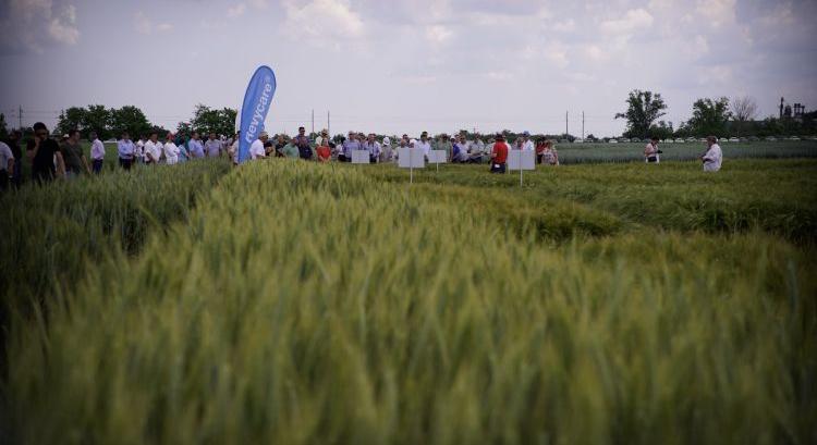 A mezőgazdaság a legfontosabb hivatás a világon