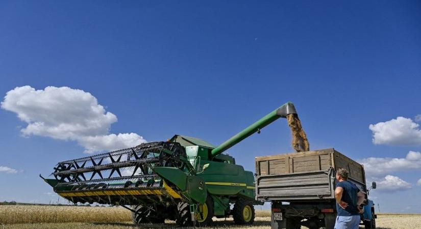 Brüsszel döntött, az ukrán termények pedig letarolták az unió piacát