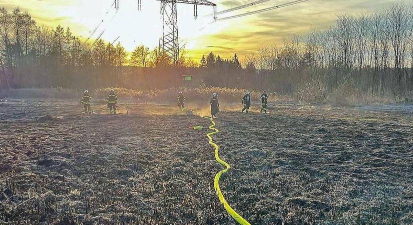 Tarlótűz: Megfékezték a Kemeten mellett a lángokat