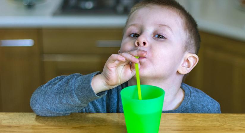 Többet árthatnak az otthoni víztisztitók, mint amennyit használnak